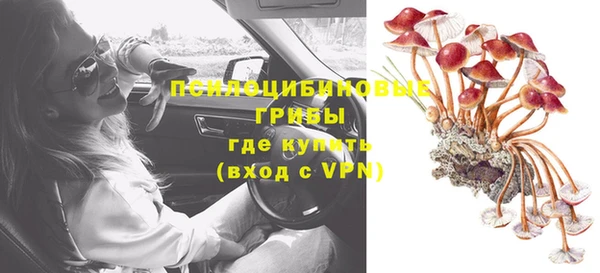 сатива Магадан