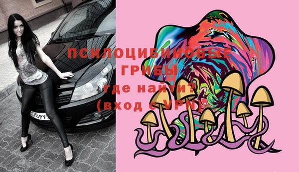 сатива Магадан