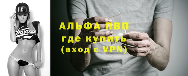 сатива Магадан