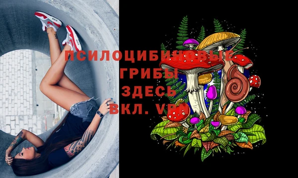 трава Дмитровск