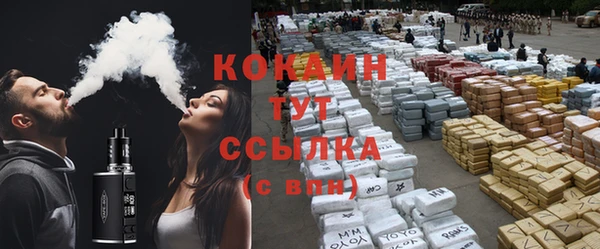 сатива Магадан