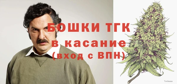 сатива Магадан