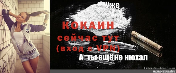 сатива Магадан